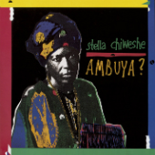 Stella Chiweshe - Ambuya?